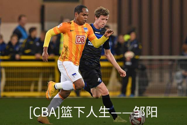[CBA]篮下人生——邹阳